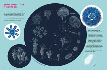 The Jellyfish Garden - Image 3