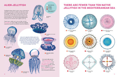 The Jellyfish Garden - Image 4