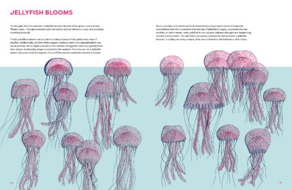 The Jellyfish Garden - Image 5