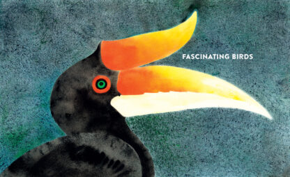 The Call of the Birds - Image 2