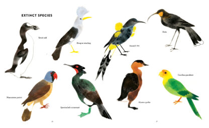 The Call of the Birds - Image 5