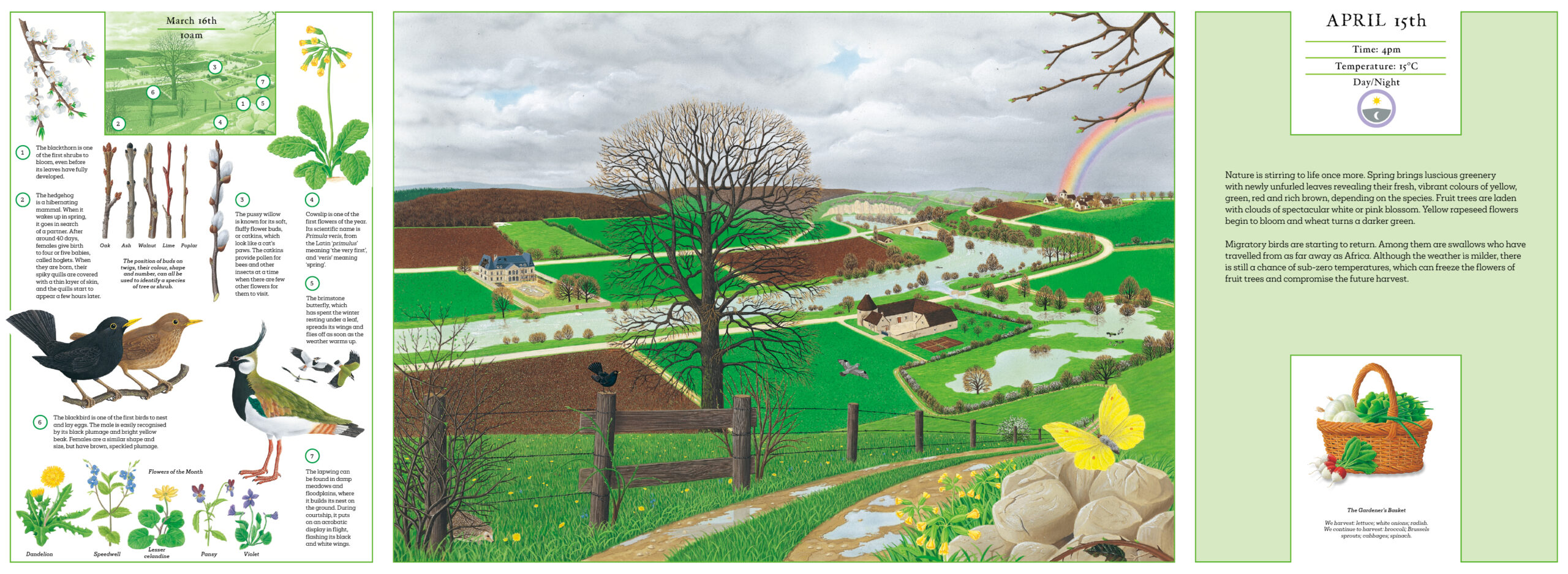 A Year in Nature - Image 2