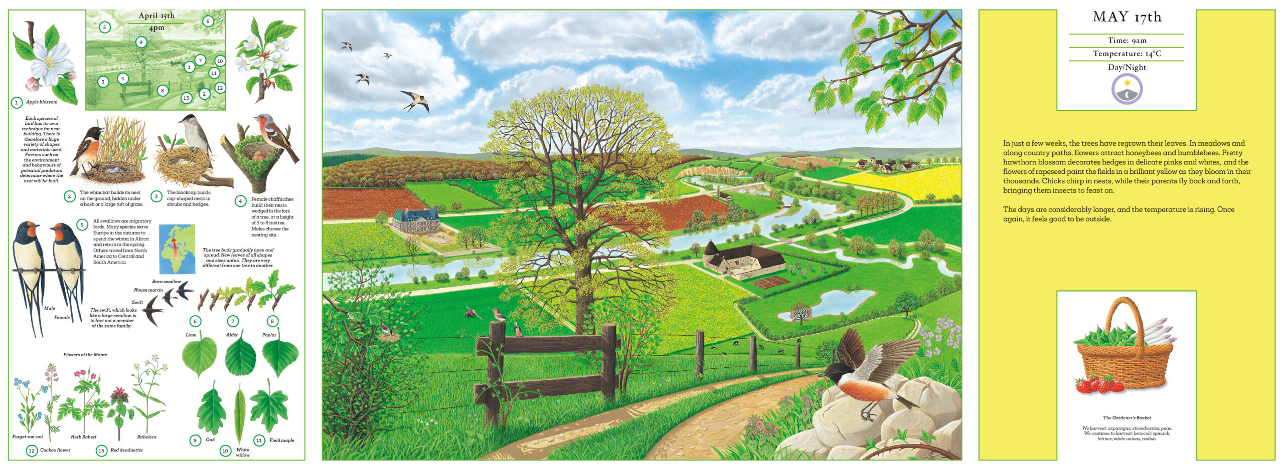 A Year in Nature - Image 3