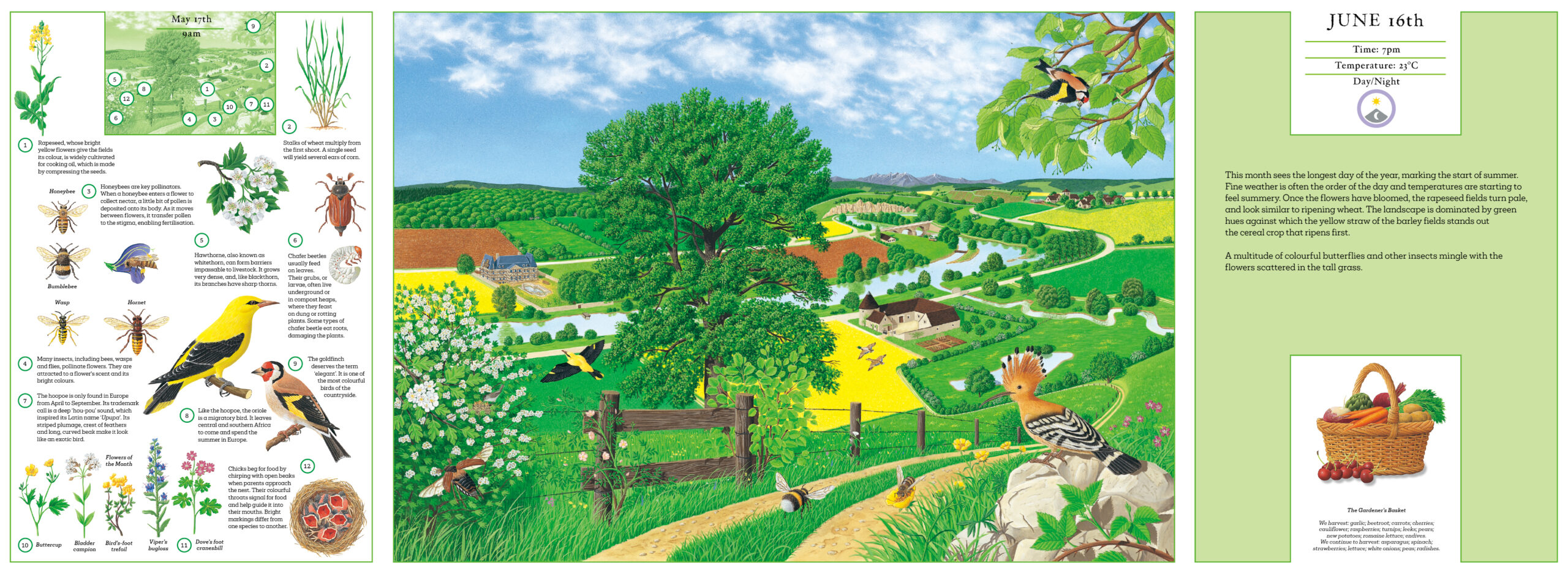 A Year in Nature - Image 4