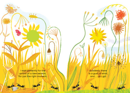 Little Seed - Image 2