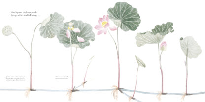 The Water Flower - Image 3