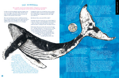 The Whale's Song - Image 3