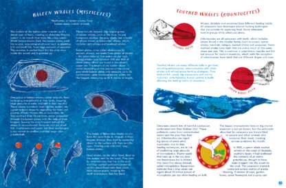 The Whale's Song - Image 4