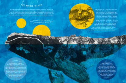 The Whale's Song - Image 5