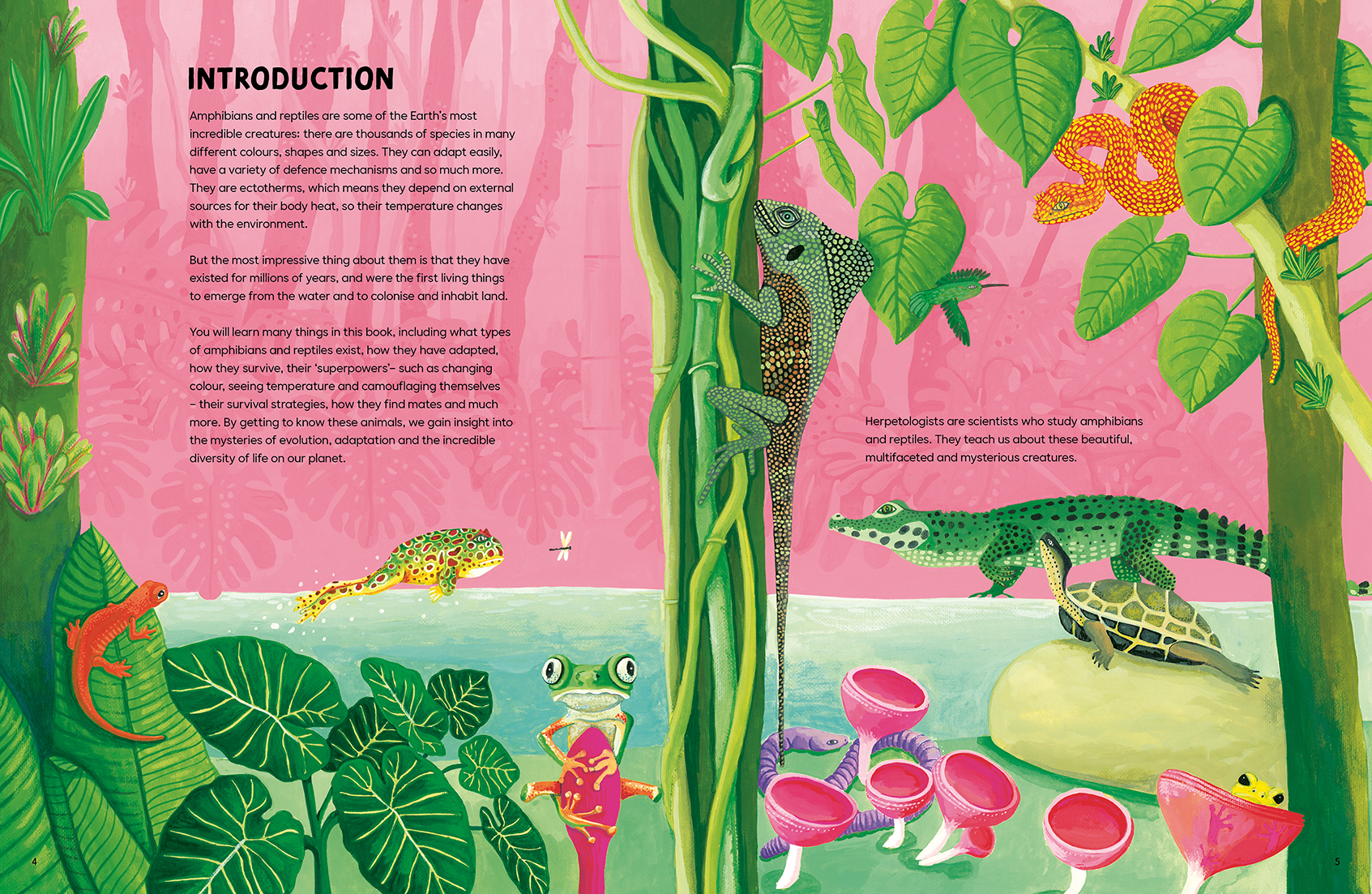 Reptiles and Amphibians - Image 2