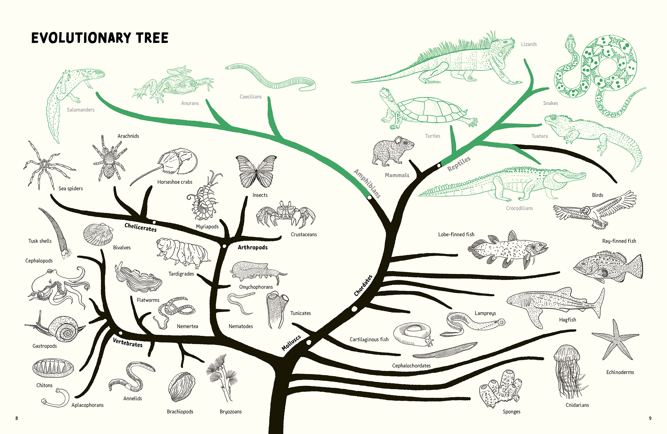 Reptiles and Amphibians - Image 3
