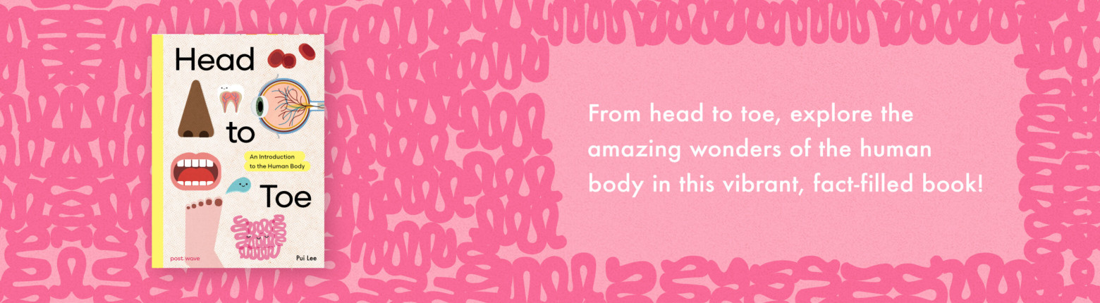 From head to toe, explore the amazing wonders of the human body in this vibrant, fact-filled book!