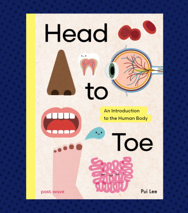From head to toe, explore the amazing wonders of the human body in this vibrant, fact-filled book!
