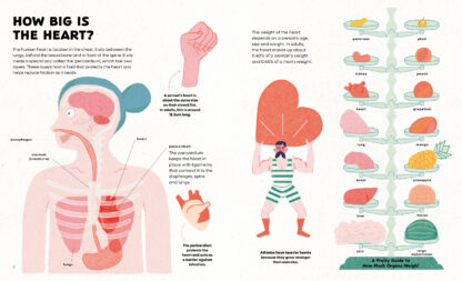 The Heart - Image 3