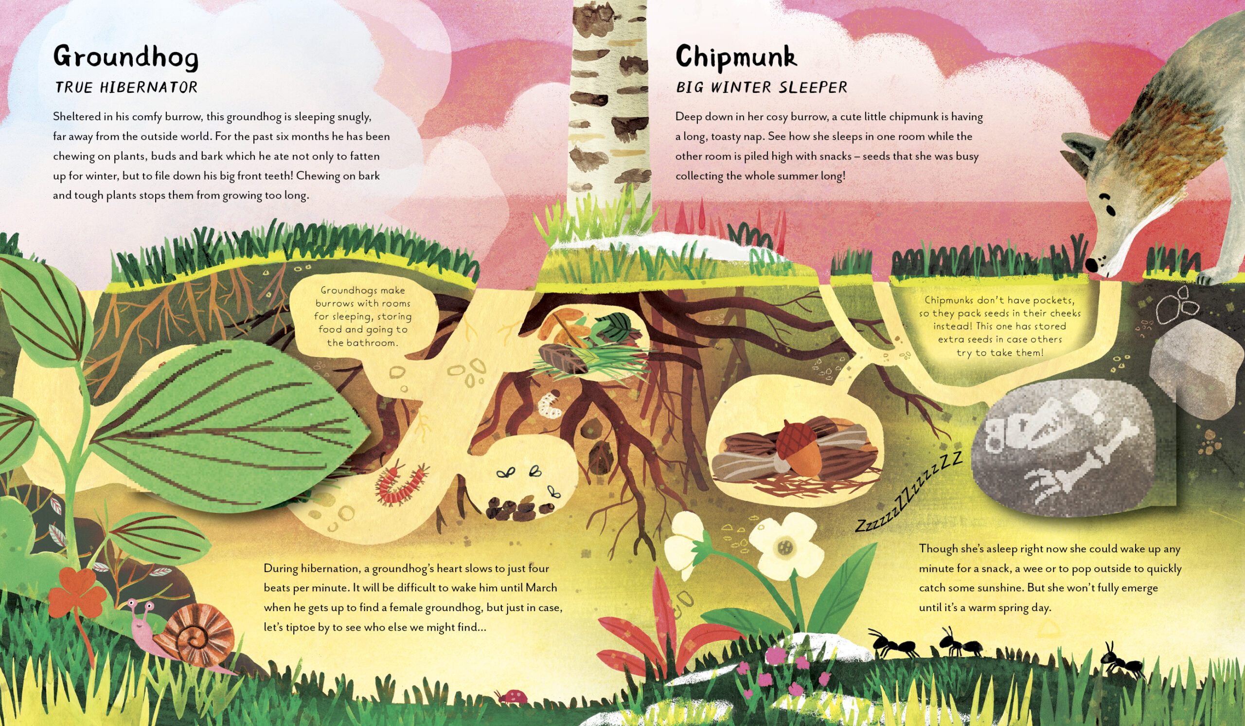Great Big Animal Sleeps - Image 3