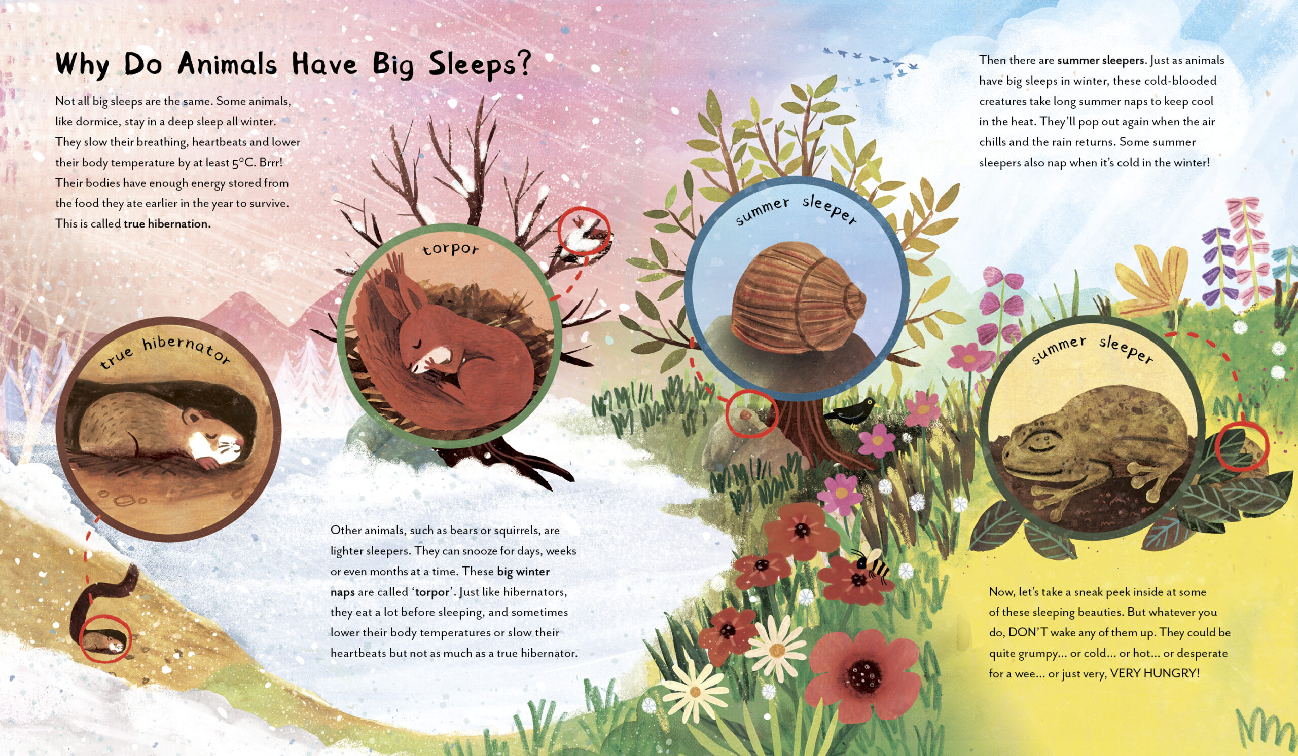 Great Big Animal Sleeps - Image 5